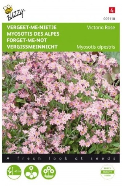 005118 ruzova nezabudka_500x500